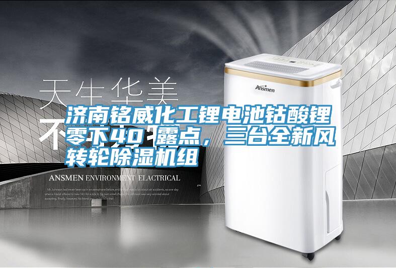 濟(jì)南銘威化工鋰電池鈷酸鋰零下40℃露點(diǎn)，三臺(tái)全新風(fēng)轉(zhuǎn)輪除濕機(jī)組