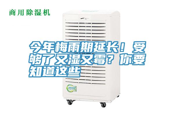 今年梅雨期延長(zhǎng)！受夠了又濕又霉？你要知道這些