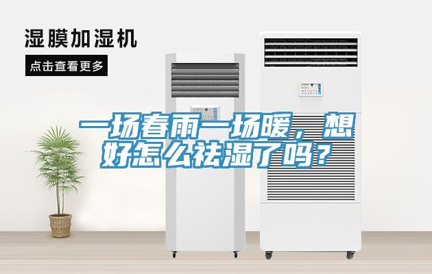 一場春雨一場暖，想好怎么祛濕了嗎？