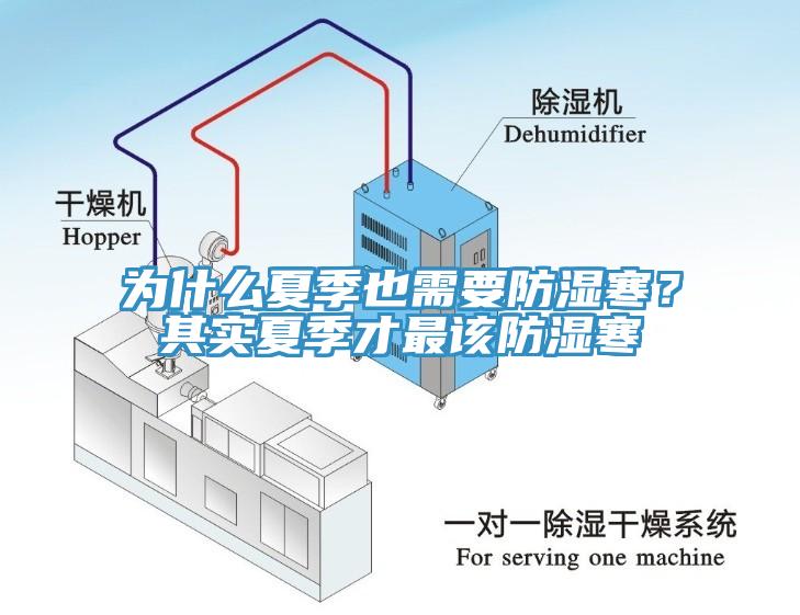 為什么夏季也需要防濕寒？其實夏季才最該防濕寒