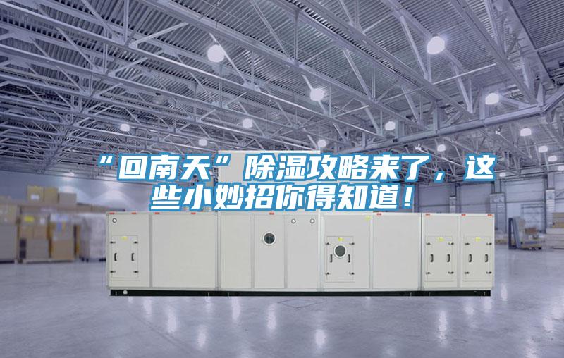 “回南天”除濕攻略來了，這些小妙招你得知道！