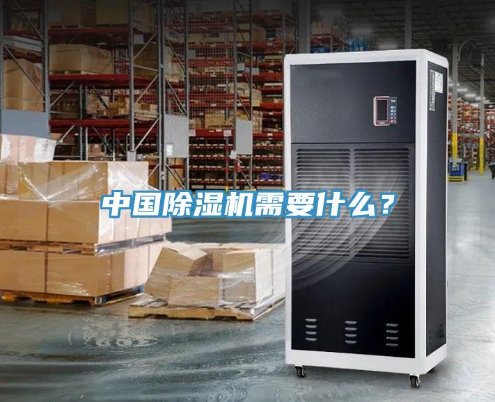 中國除濕機需要什么？