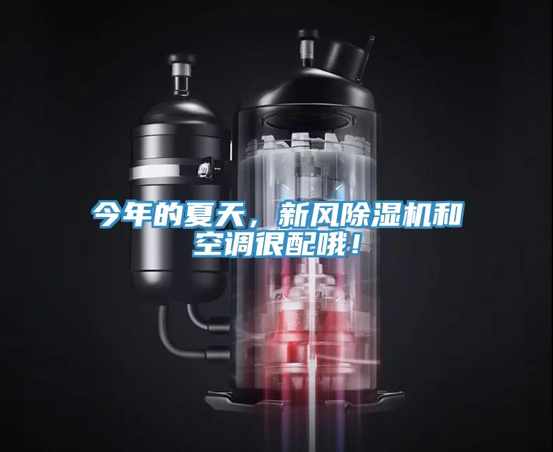 今年的夏天，新風(fēng)除濕機(jī)和空調(diào)很配哦！