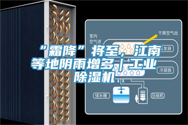 “霜降”將至，江南等地陰雨增多｜工業(yè)除濕機(jī)