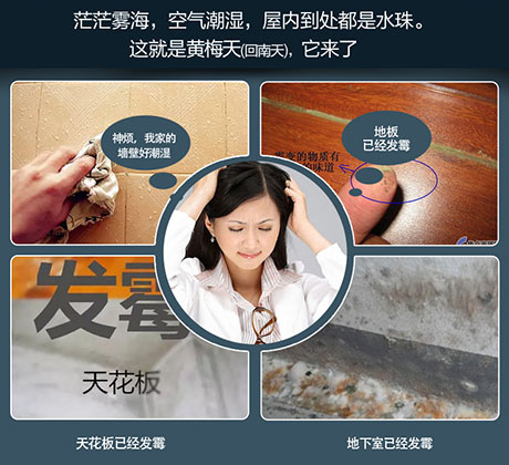 家庭別墅的地下室、衛(wèi)生間、儲(chǔ)物室等該如何除濕？