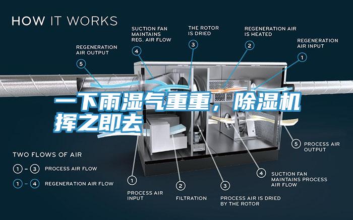 一下雨濕氣重重，除濕機(jī)揮之即去