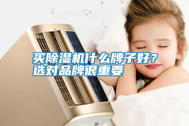 買除濕機(jī)什么牌子好？選對(duì)品牌很重要