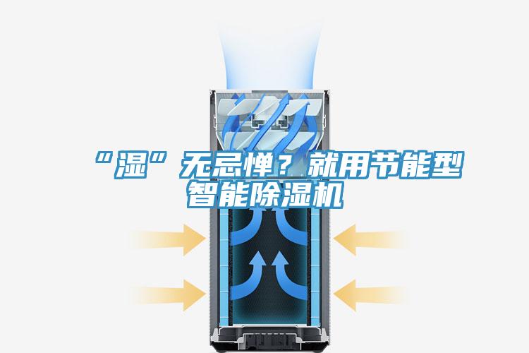 “濕”無忌憚？就用節(jié)能型智能除濕機