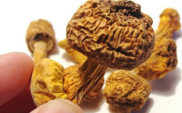 巴西菇、姬松茸烘干機(jī)-怎樣烘干色澤好且菇體褶片完整？