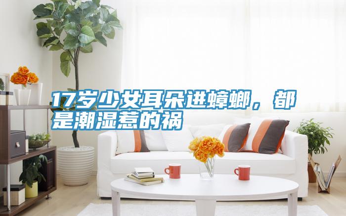 17歲少女耳朵進(jìn)蟑螂，都是潮濕惹的禍