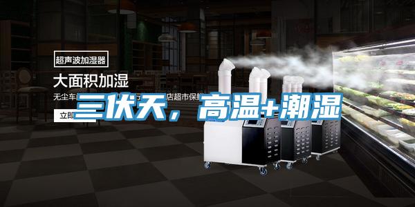 三伏天，高溫+潮濕