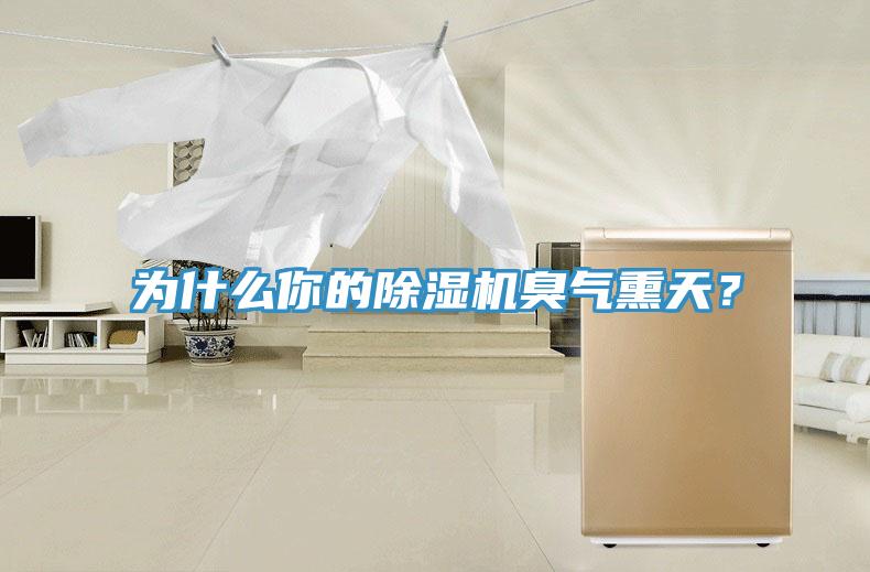 為什么你的除濕機臭氣熏天？