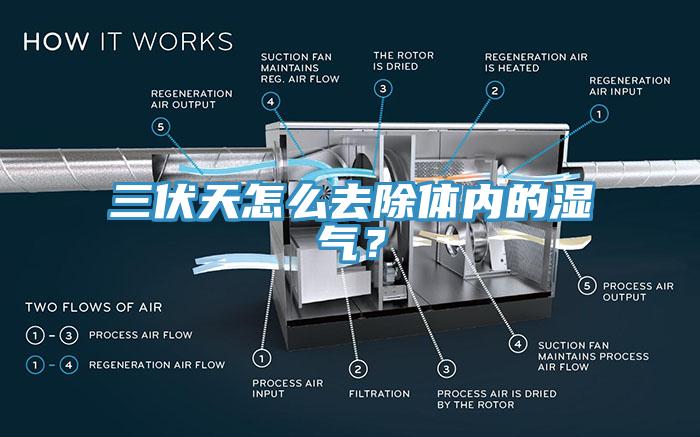 三伏天怎么去除體內(nèi)的濕氣？