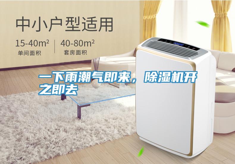 一下雨潮氣即來，除濕機開之即去
