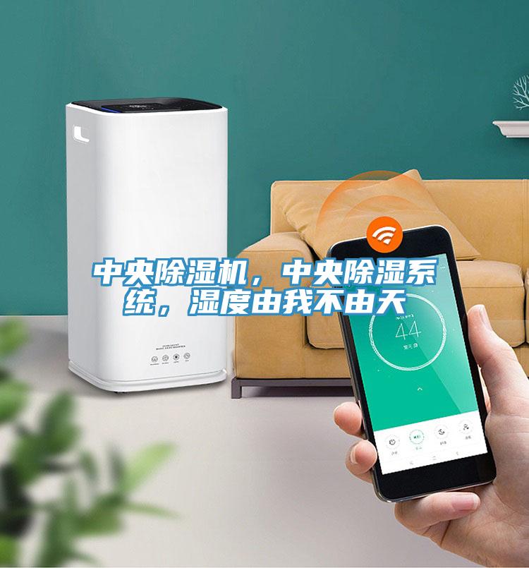 中央除濕機(jī)，中央除濕系統(tǒng)，濕度由我不由天