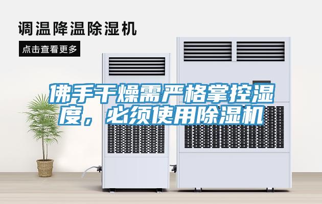 佛手干燥需嚴(yán)格掌控濕度，必須使用除濕機(jī)