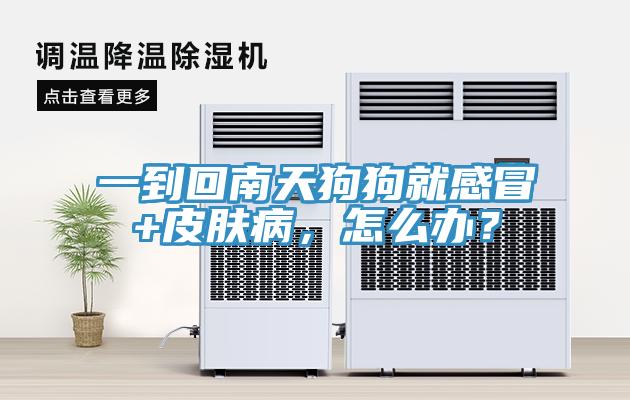 一到回南天狗狗就感冒+皮膚病，怎么辦？