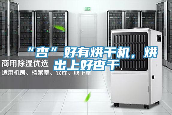 “杏”好有烘干機，烘出上好杏干