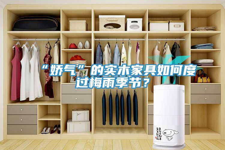 “嬌氣”的實木家具如何度過梅雨季節(jié)？