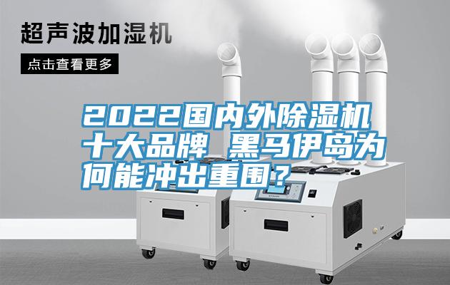 2022國內(nèi)外除濕機(jī)十大品牌 黑馬伊島為何能沖出重圍？