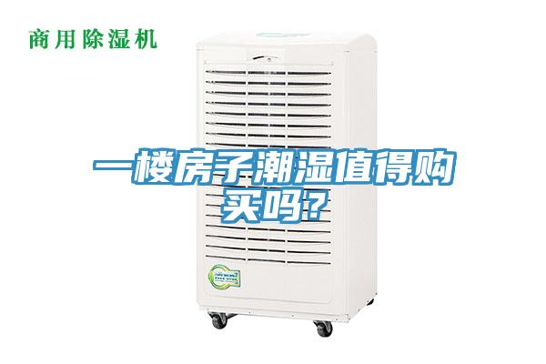 一樓房子潮濕值得購買嗎？