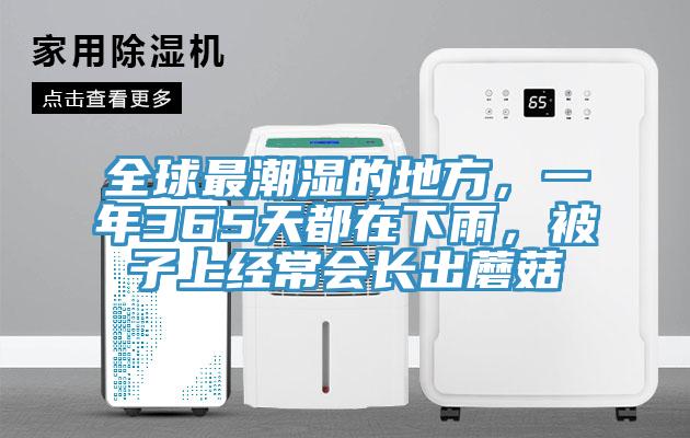 全球最潮濕的地方，一年365天都在下雨，被子上經(jīng)常會長出蘑菇