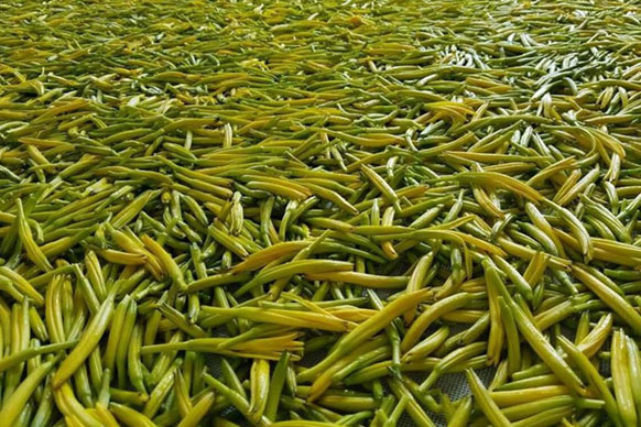 無硫金針菜烘干如何保持品相？不發(fā)黑？_除濕機(jī)廠家