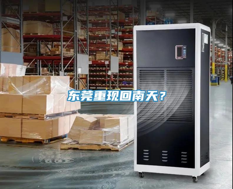 東莞重現(xiàn)回南天？