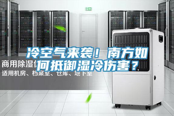冷空氣來襲！南方如何抵御濕冷傷害？