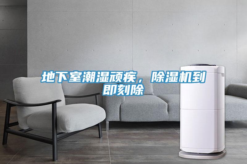 地下室潮濕頑疾，除濕機到即刻除