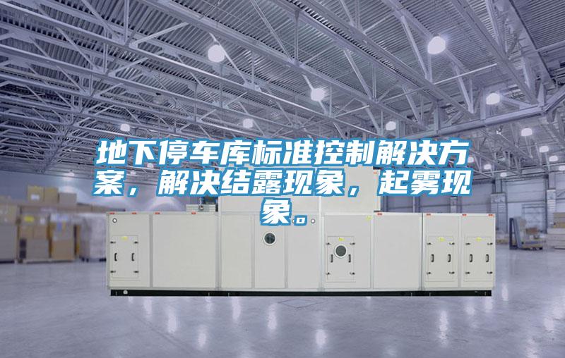 地下停車庫(kù)標(biāo)準(zhǔn)控制解決方案，解決結(jié)露現(xiàn)象，起霧現(xiàn)象。