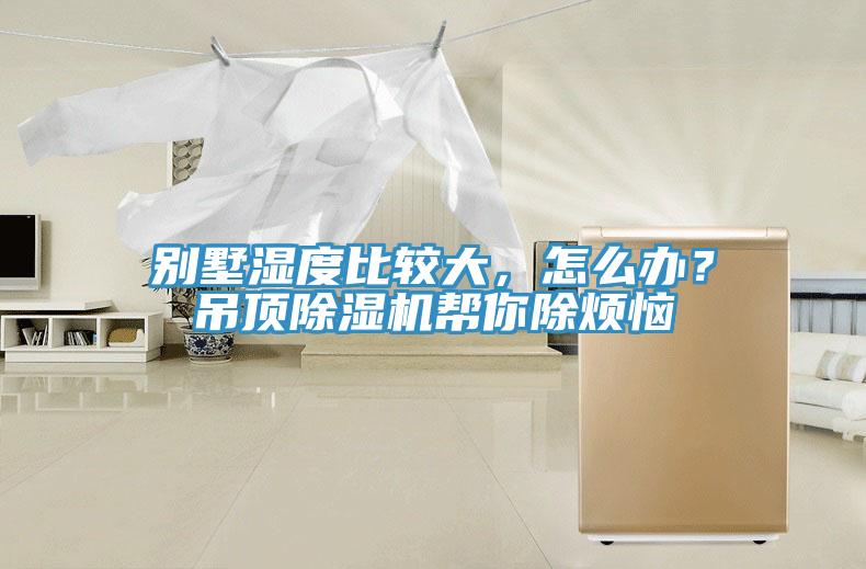 別墅濕度比較大，怎么辦？吊頂除濕機幫你除煩惱