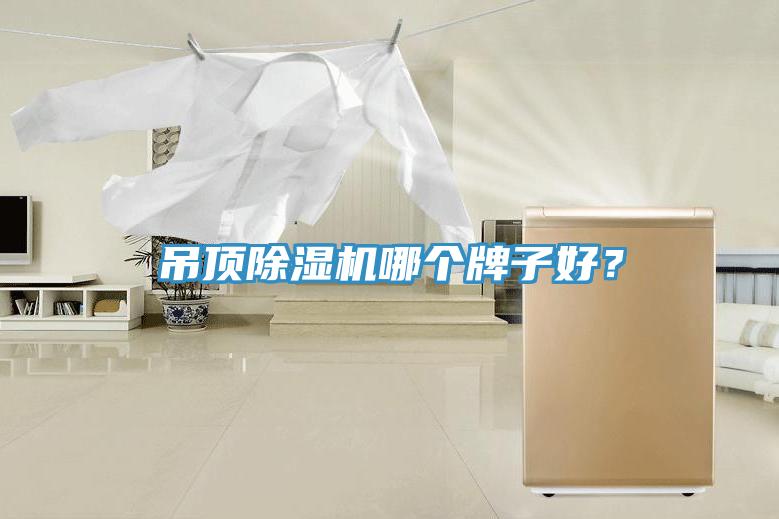 吊頂除濕機哪個牌子好？