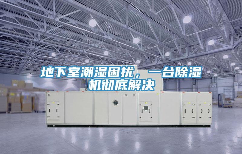 地下室潮濕困擾，一臺(tái)除濕機(jī)徹底解決