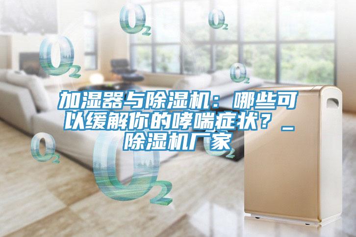 加濕器與除濕機(jī)：哪些可以緩解你的哮喘癥狀？_除濕機(jī)廠家