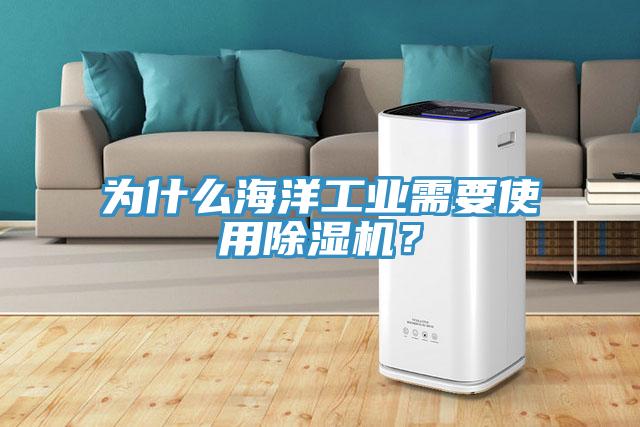 為什么海洋工業(yè)需要使用除濕機？