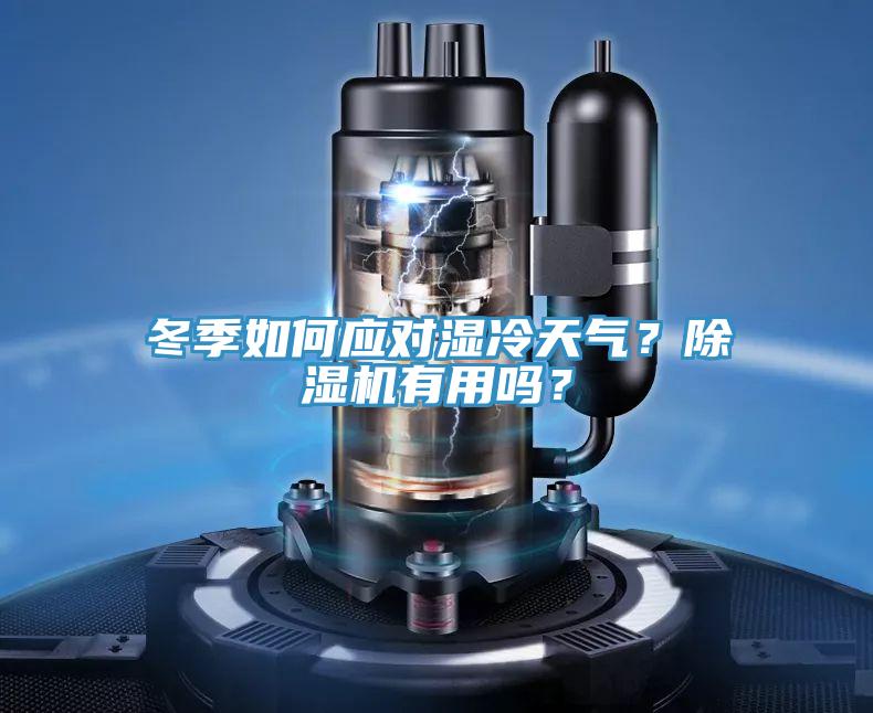 冬季如何應(yīng)對濕冷天氣？除濕機(jī)有用嗎？