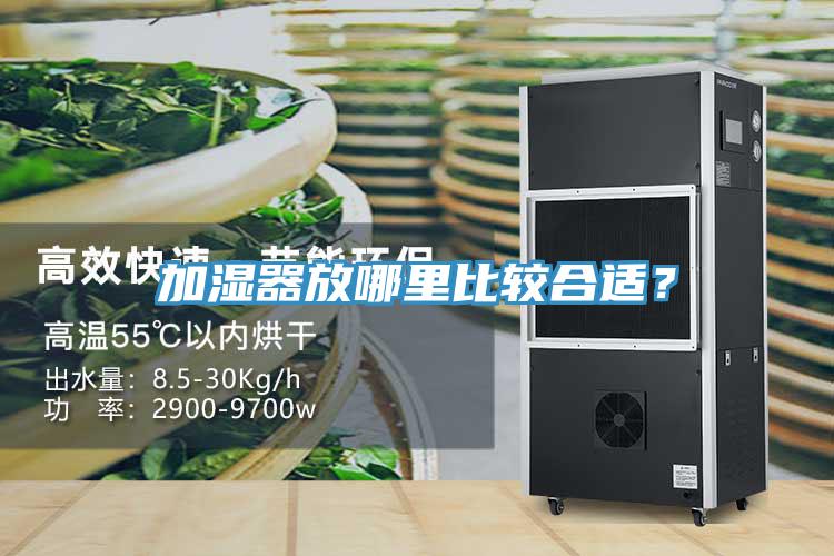 加濕器放哪里比較合適？