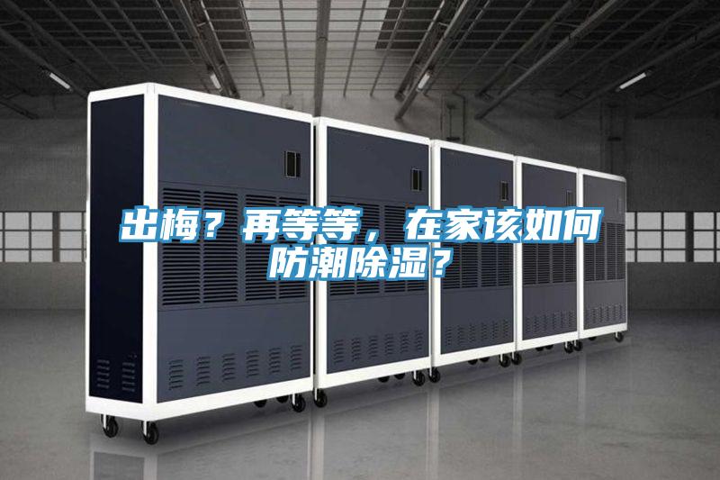 出梅？再等等，在家該如何防潮除濕？