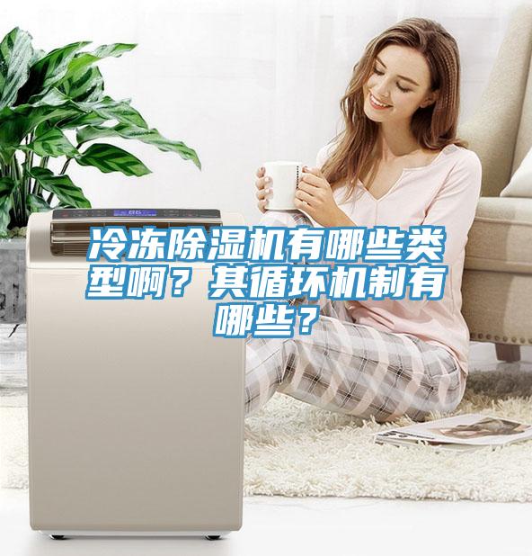 冷凍除濕機有哪些類型??？其循環(huán)機制有哪些？