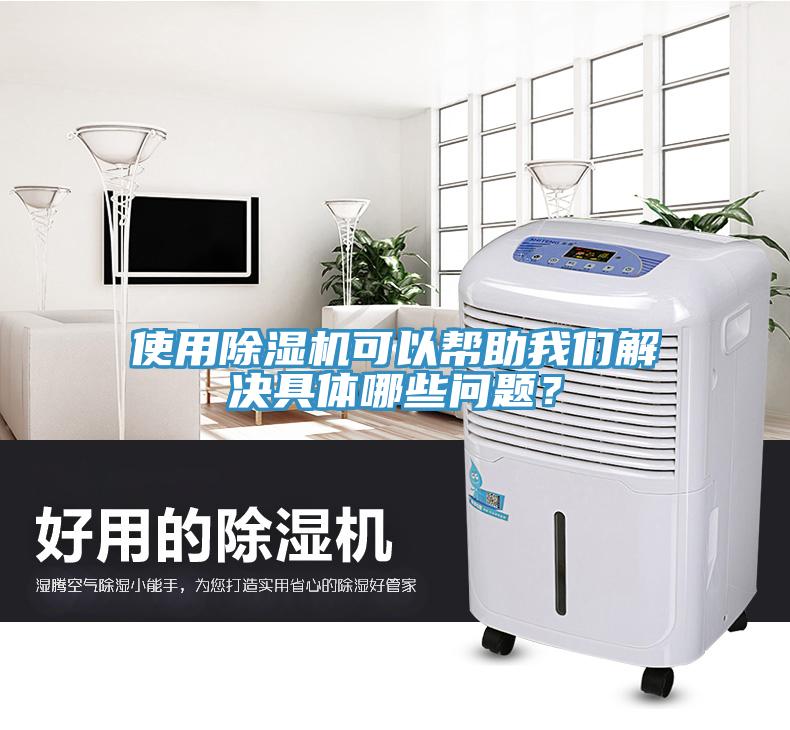 使用除濕機可以幫助我們解決具體哪些問題？