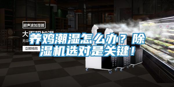 養(yǎng)雞潮濕怎么辦？除濕機選對是關鍵！