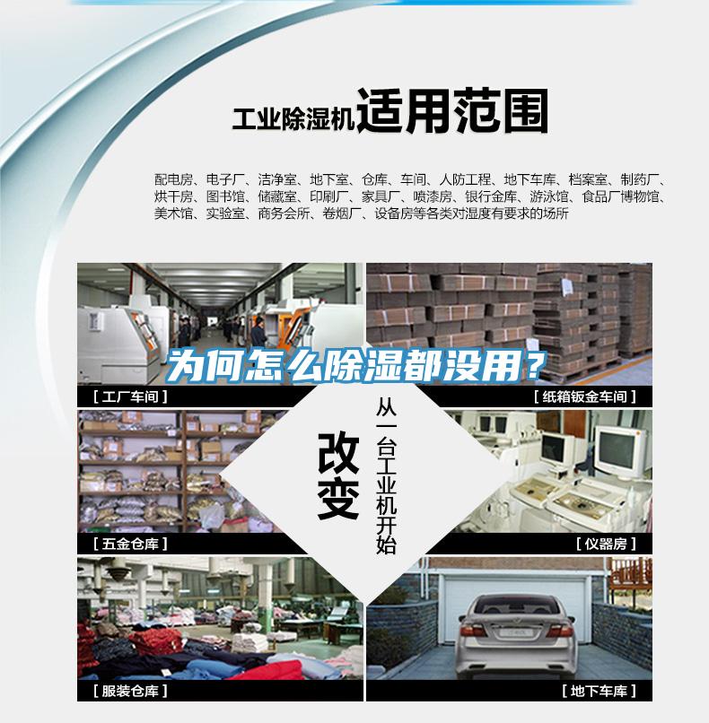 為何怎么除濕都沒用？