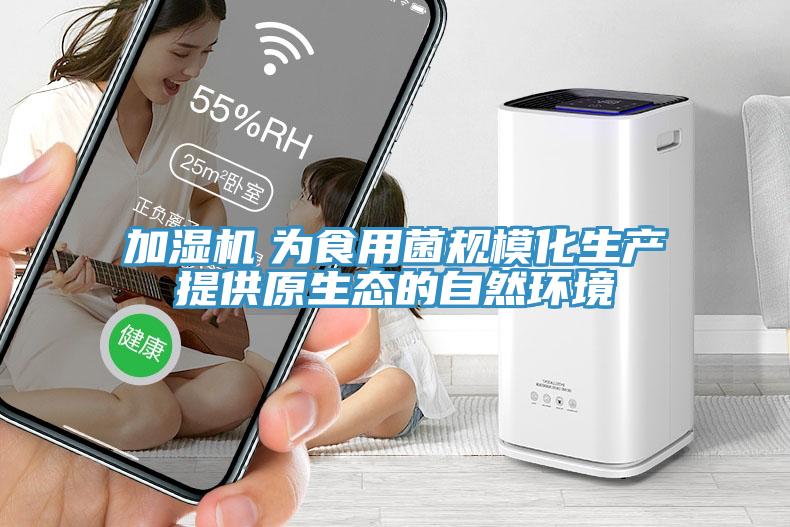 加濕機(jī)　為食用菌規(guī)?；a(chǎn)提供原生態(tài)的自然環(huán)境