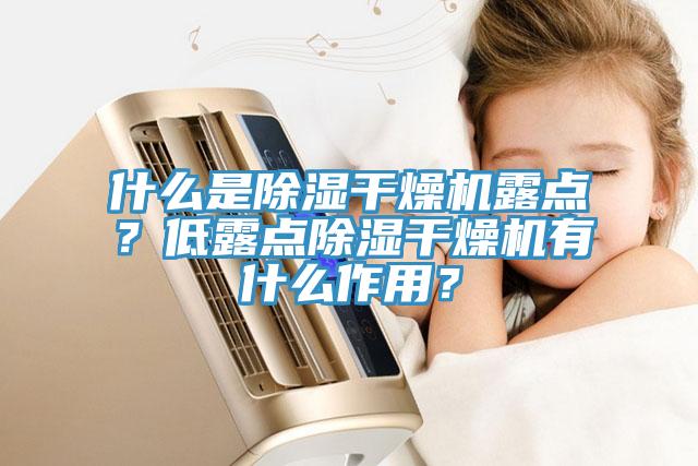 什么是除濕干燥機露點？低露點除濕干燥機有什么作用？
