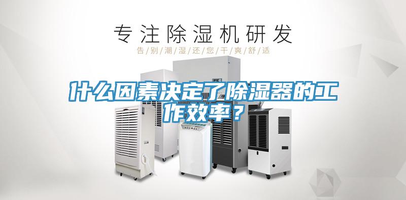 什么因素決定了除濕器的工作效率？