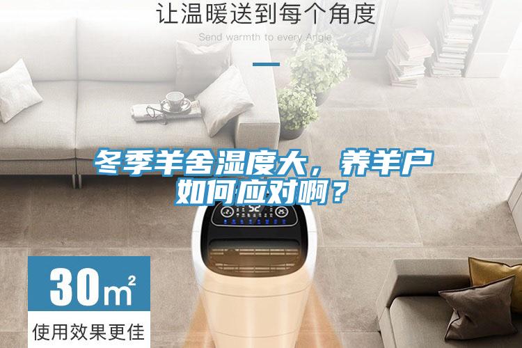 冬季羊舍濕度大，養(yǎng)羊戶如何應(yīng)對啊？