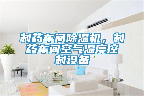制藥車間除濕機(jī)，制藥車間空氣濕度控制設(shè)備