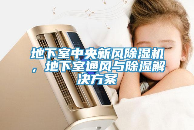地下室中央新風(fēng)除濕機(jī)，地下室通風(fēng)與除濕解決方案