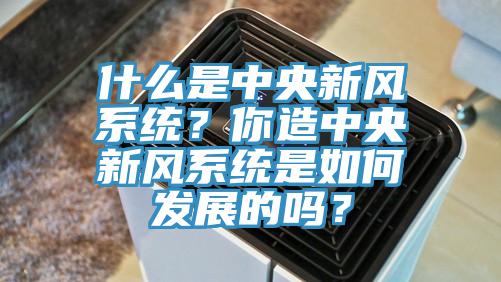 什么是中央新風系統？你造中央新風系統是如何發展的嗎？